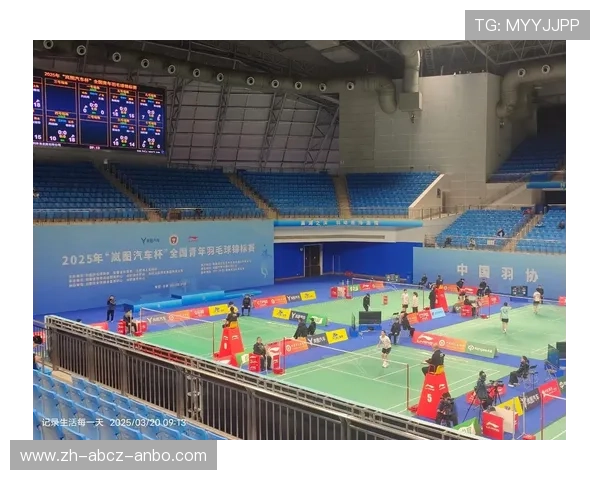 羽毛球挑选视频