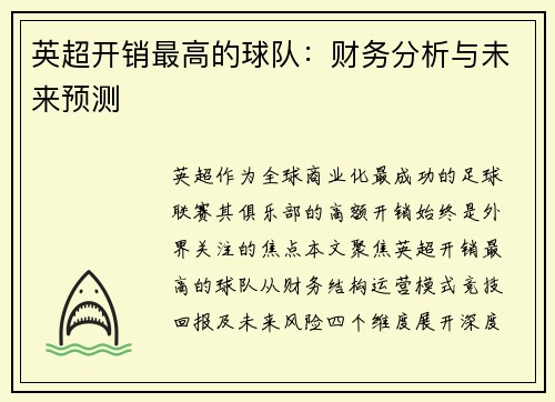 英超开销最高的球队：财务分析与未来预测
